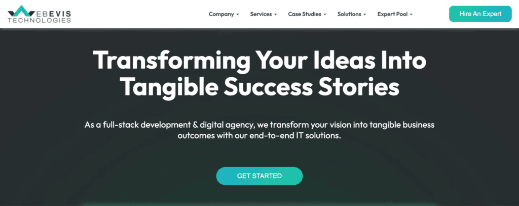 hire project manager - webevis
