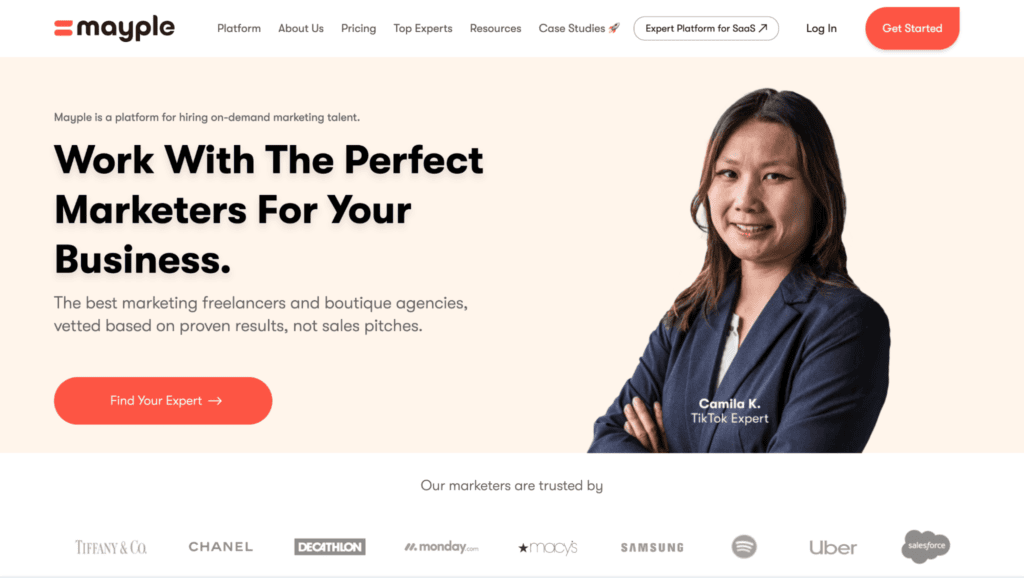 hire email deliverability expert - mayple