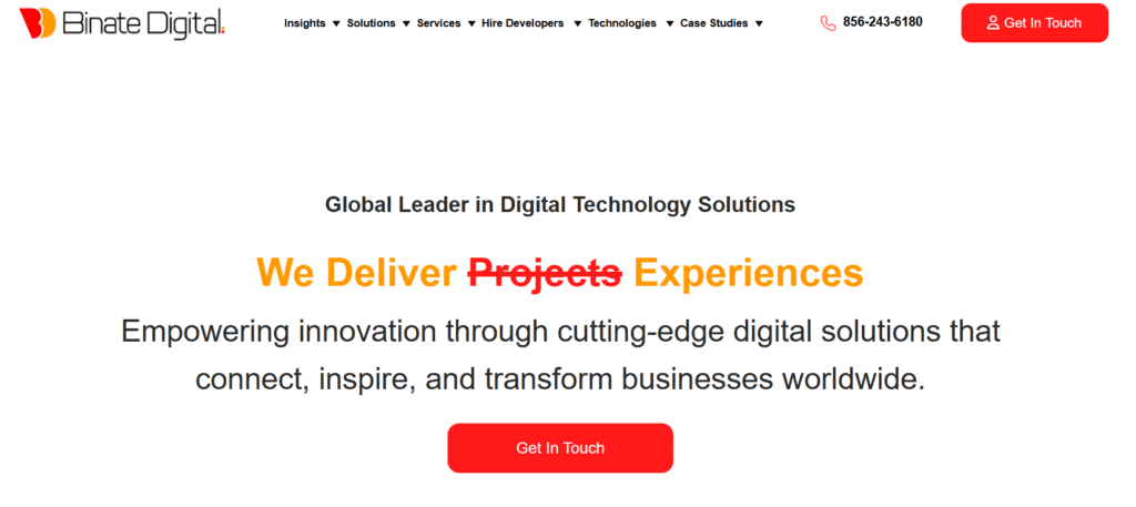 Hire Next.js Developer - Binate Digital